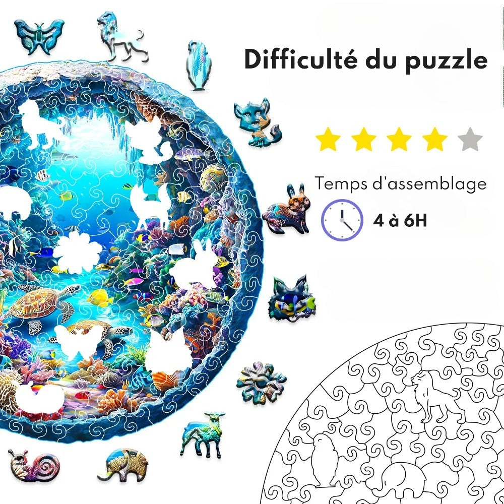Plongée Magique 🌊🐢 Un Puzzle Envoûtant pour une Évasion Sous-Marine